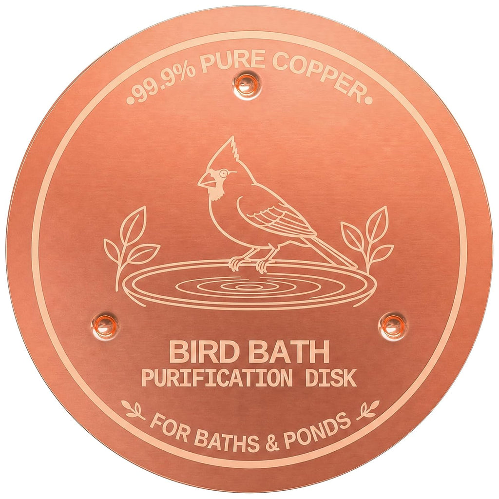 Copper Disc for Bird Bath, 99.9% Pure Copper (Cardinal)