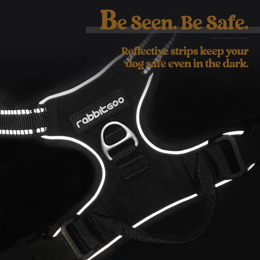 rabbitgoo Dog Harness No Pull with 2 Leash Clips, Adjustable Soft Padded