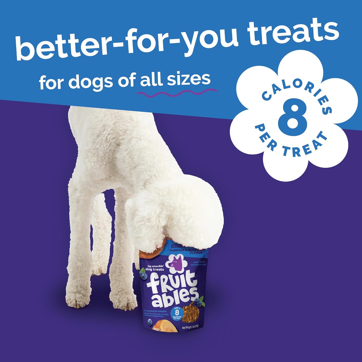 Fruitables Baked Dog Treats, Healthy Pumpkin Treat for Dogs, Low Calorie &