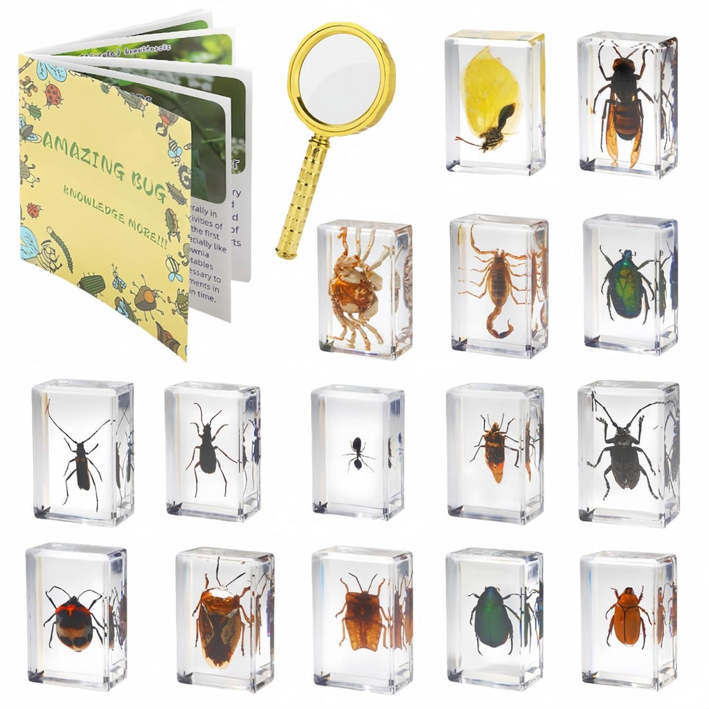 15 Insect specimens,Real Specimens of Various Butterflies and Beetles Made of Resin