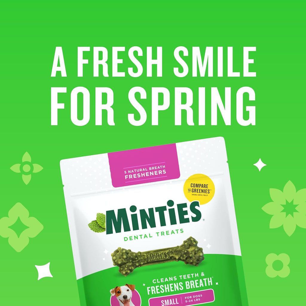 Minties Dog Dental Bone Treats, Tiny/Small Dental Dog Treats, 16 Ounces