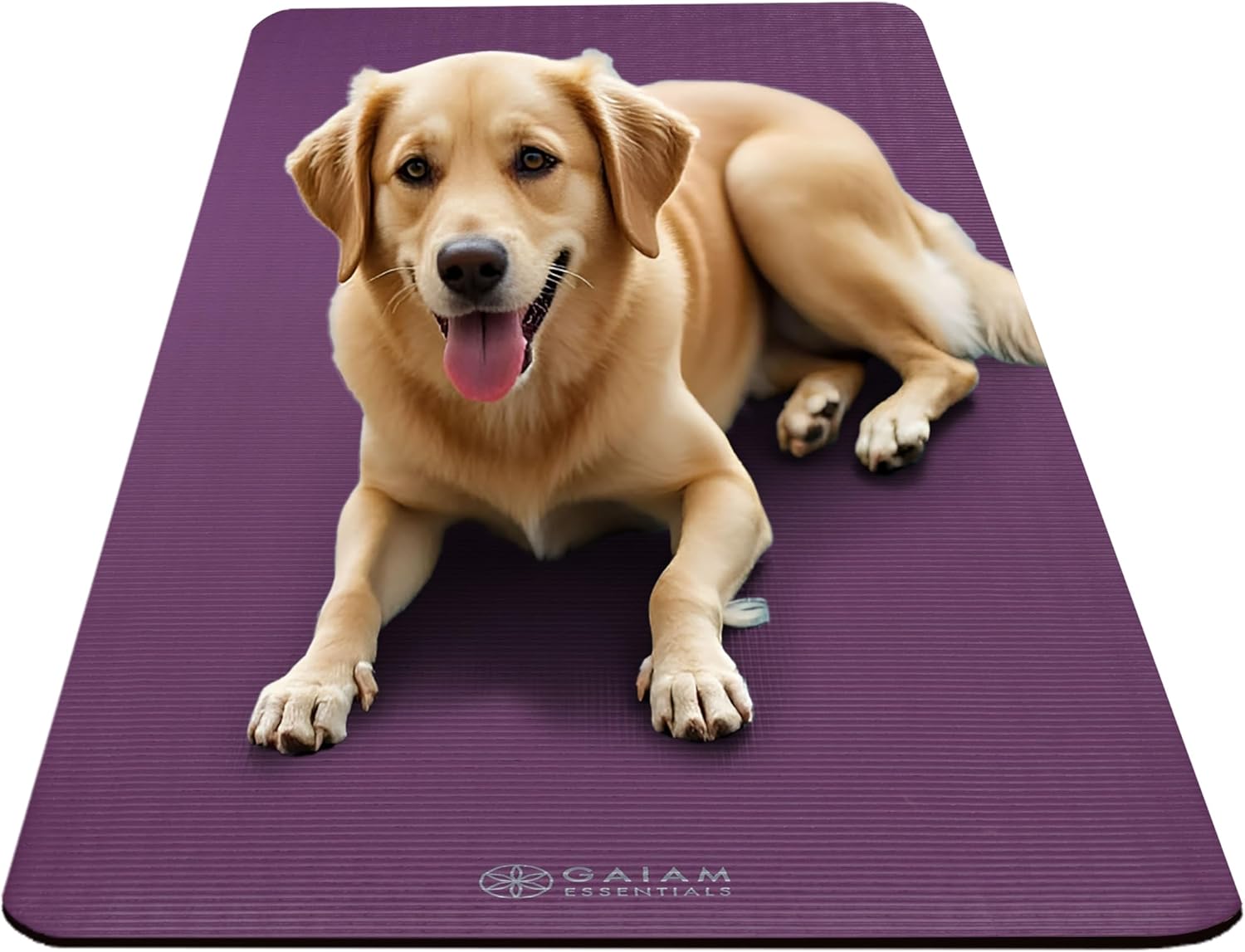 Gaiam Yoga Mat, Pilates & Exercise Mat, Thick 2/5" (10mm) Workout Mat with