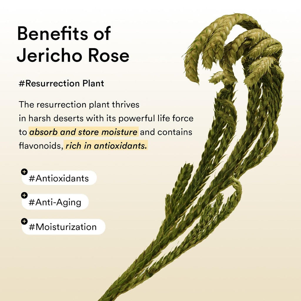 Abib Collagen Peptide Eye Patches for Wrinkles & Fine Line with Jericho Rose