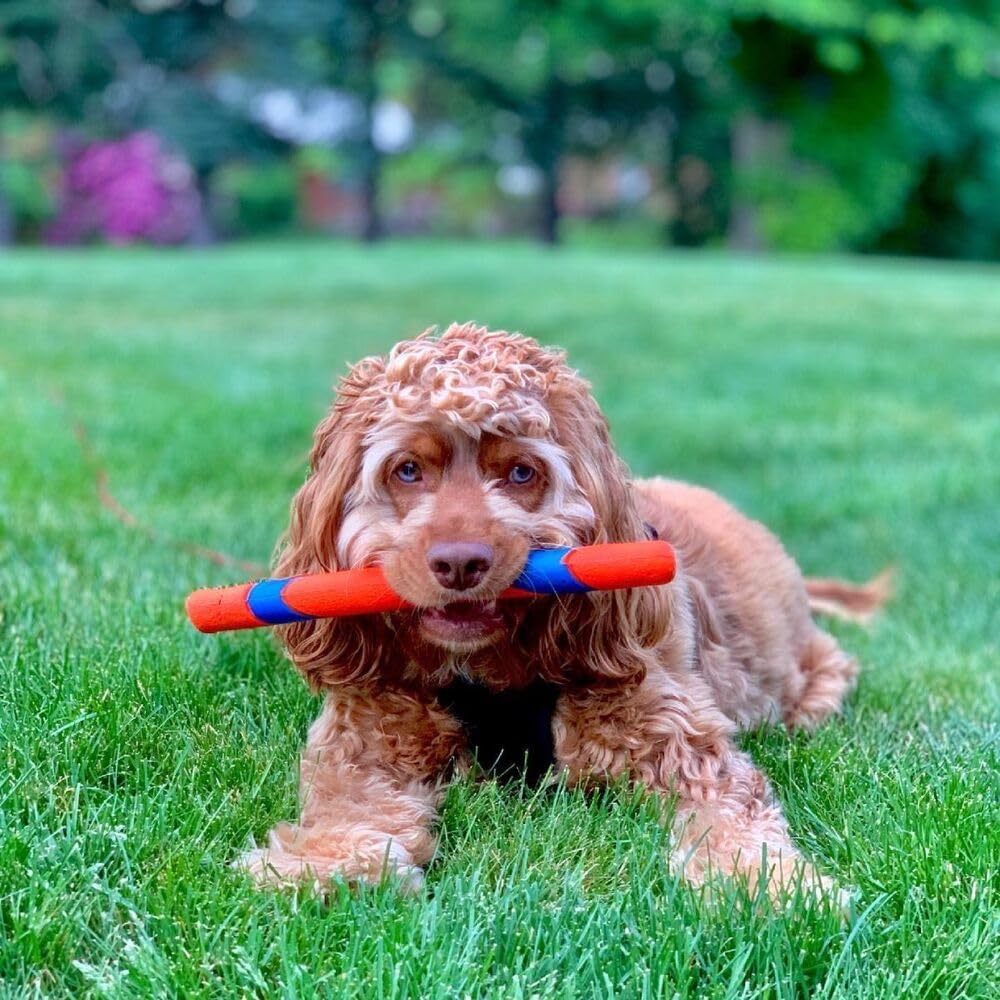 Chuckit! Interactive Dog Toy Ultra Fetch Stick - 12 Inch Outdoor Dog Toy for