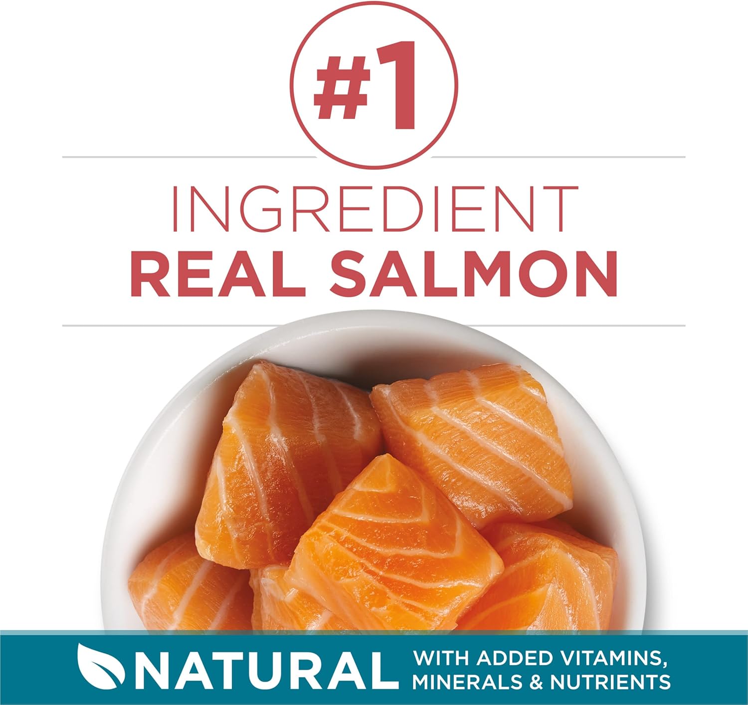Purina ONE Natural Dry Cat Food, Tender Selects Blend With Real Salmon - 7