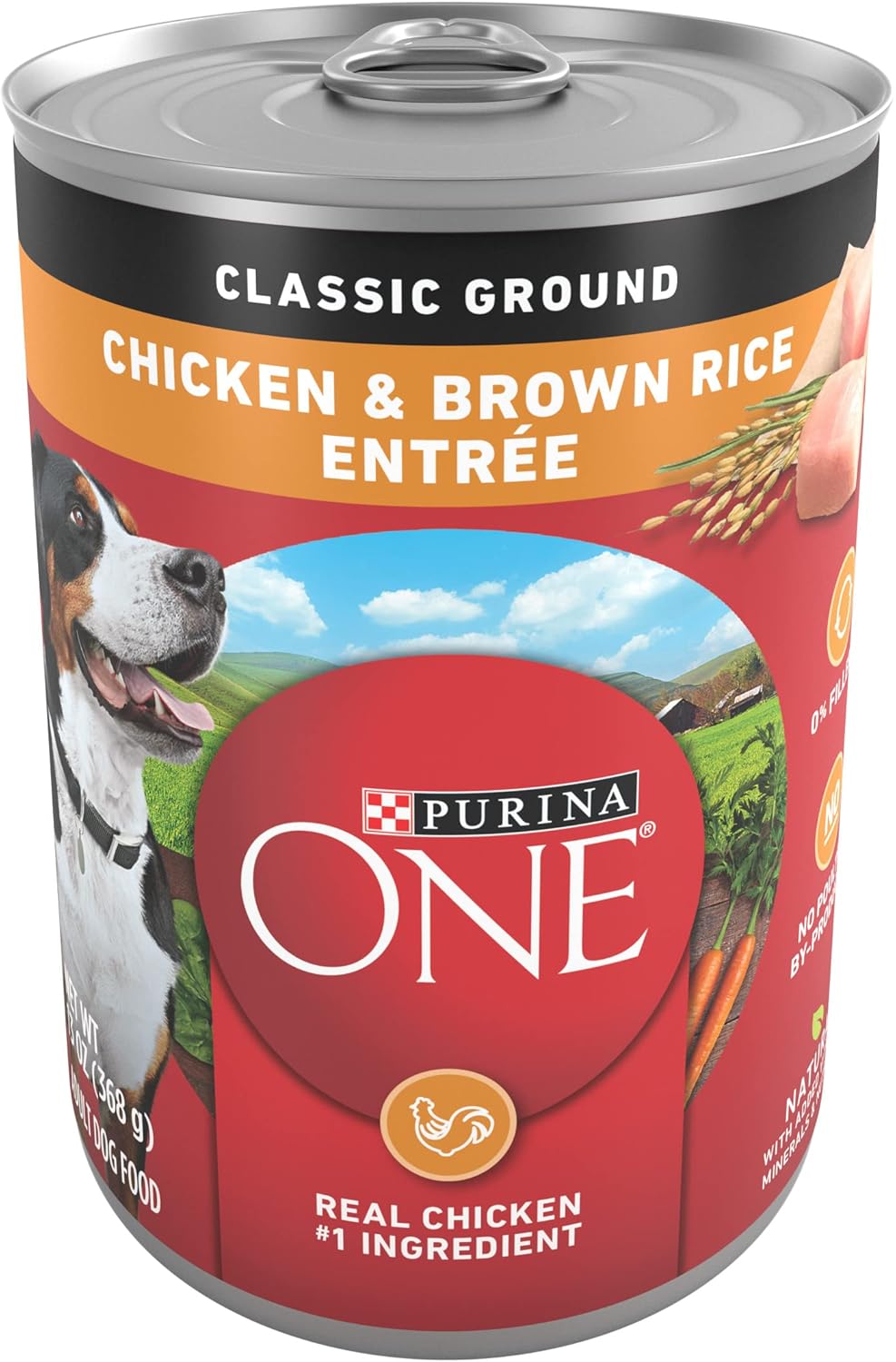 Purina ONE Classic Ground Chicken and Brown Rice Entree Adult Wet Dog Food