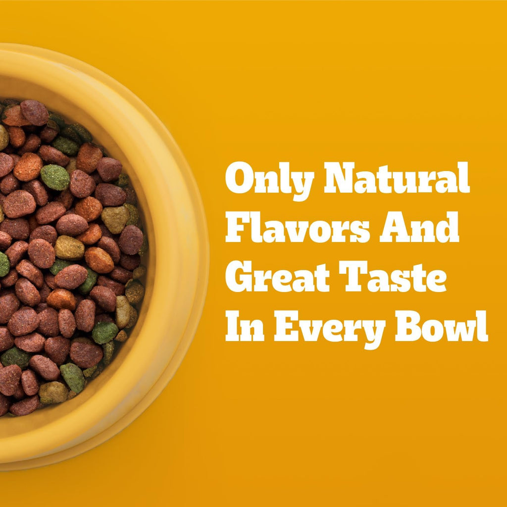 Pedigree Adult Dry Dog Food, Complete Nutrition, Grilled Steak & Vegetable