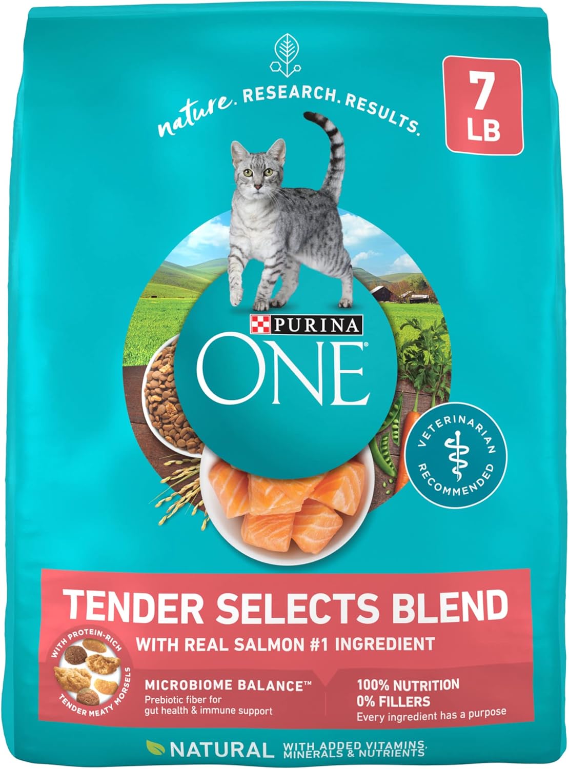Purina ONE Natural Dry Cat Food, Tender Selects Blend With Real Salmon - 7