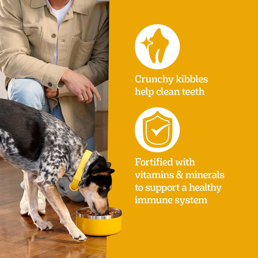 Pedigree Adult Dry Dog Food, Complete Nutrition, Grilled Steak & Vegetable
