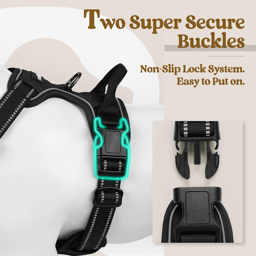 rabbitgoo Dog Harness No Pull with 2 Leash Clips, Adjustable Soft Padded