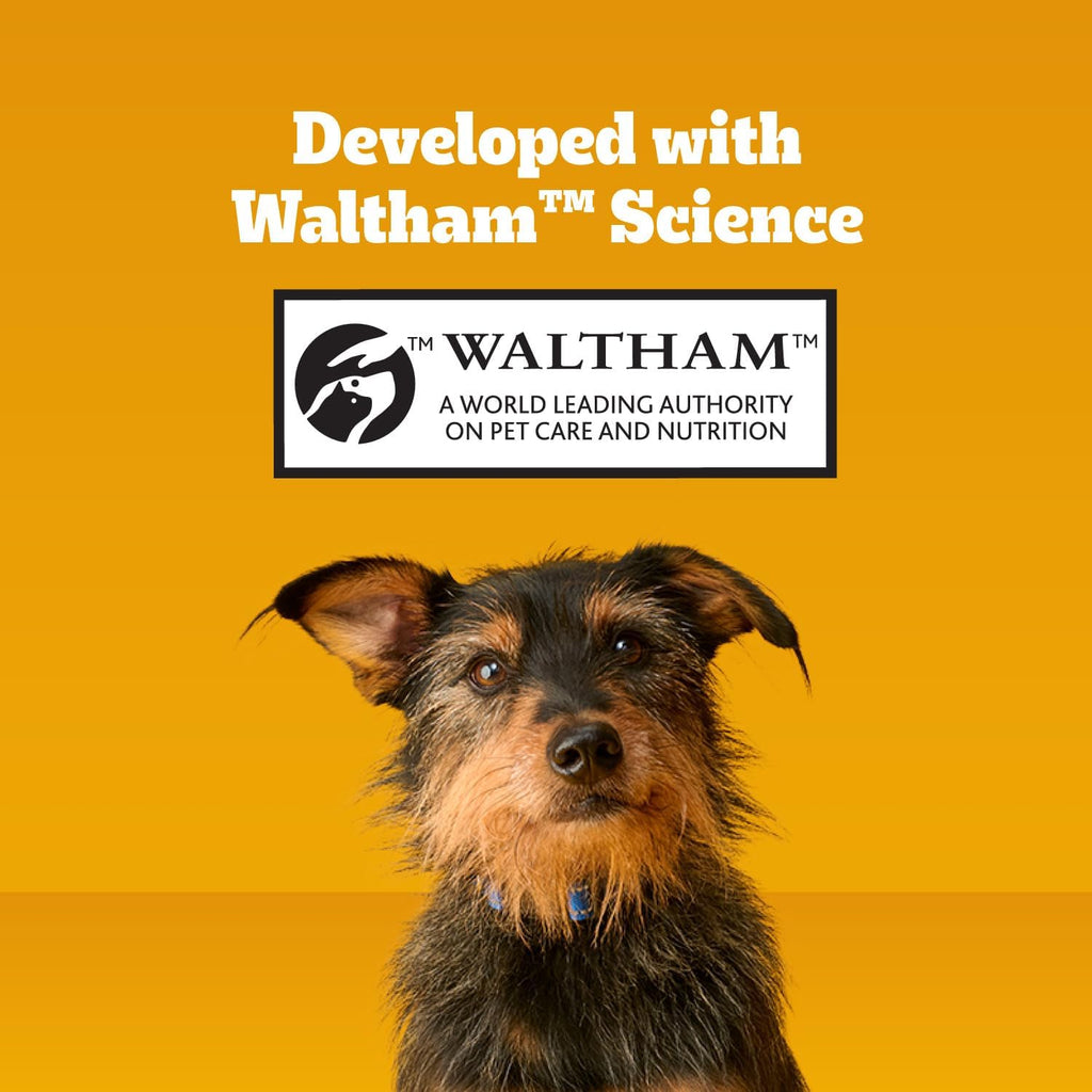Pedigree Dentastix Dental Chews for Dogs, Small and Toy Breed Dog Treats