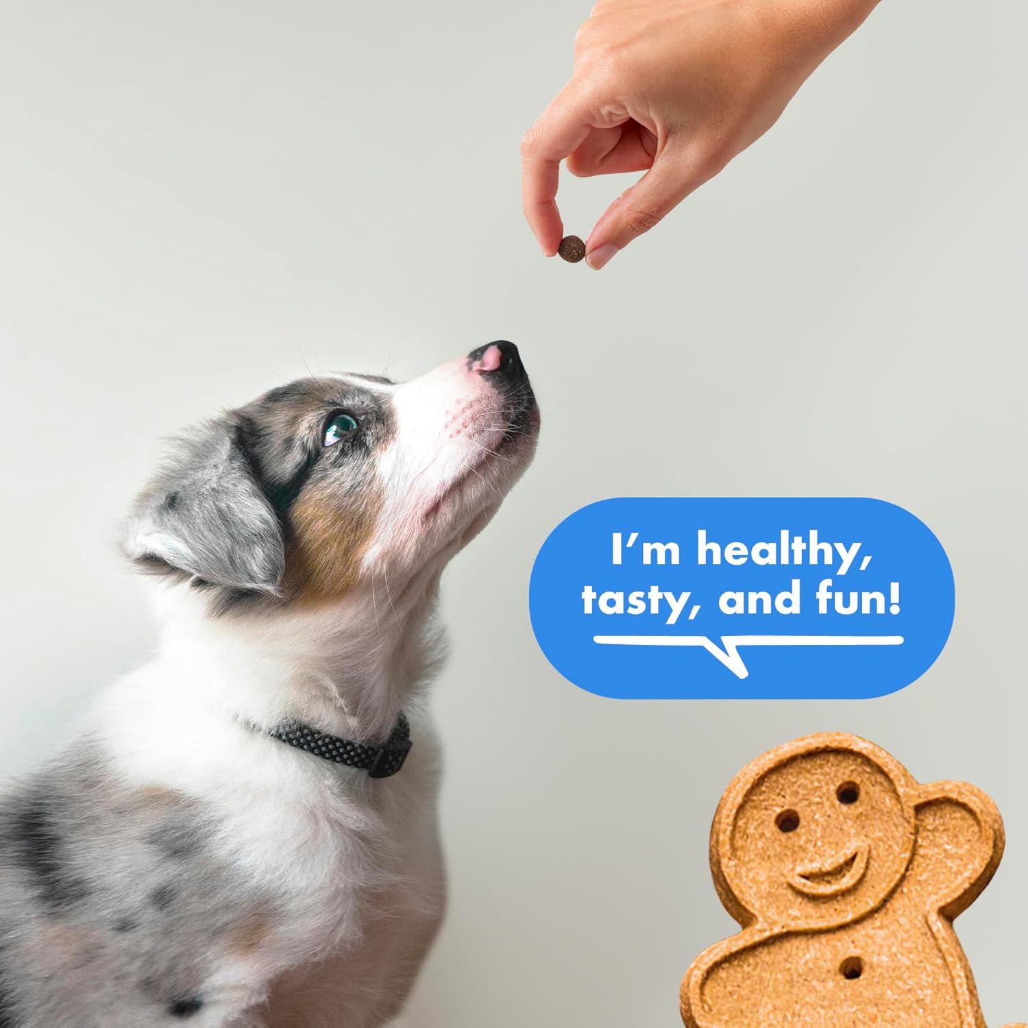 Buddy Biscuits Trainers 10 Oz. Pouch of Training Bites Soft & Chewy Dog