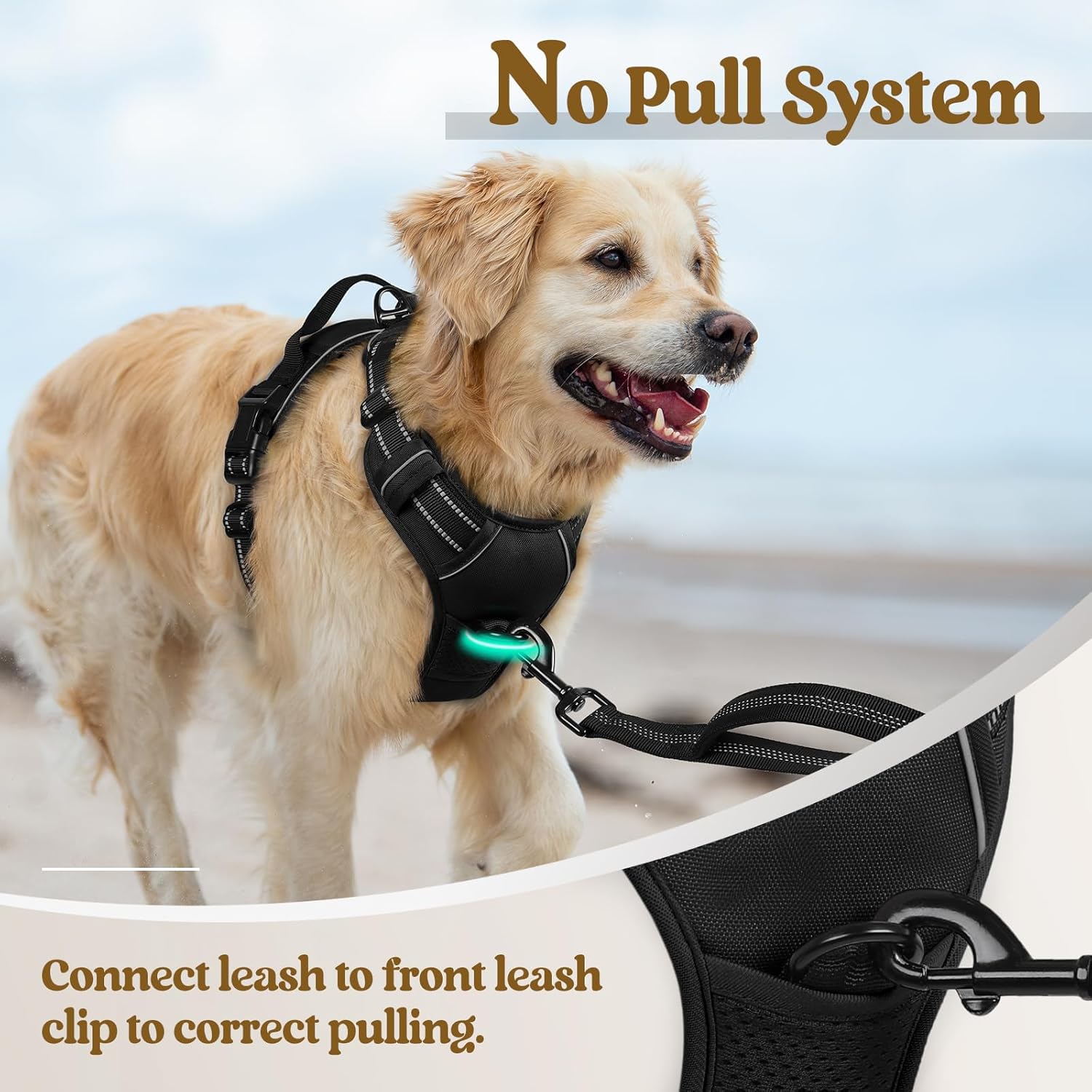 rabbitgoo Dog Harness No Pull with 2 Leash Clips, Adjustable Soft Padded