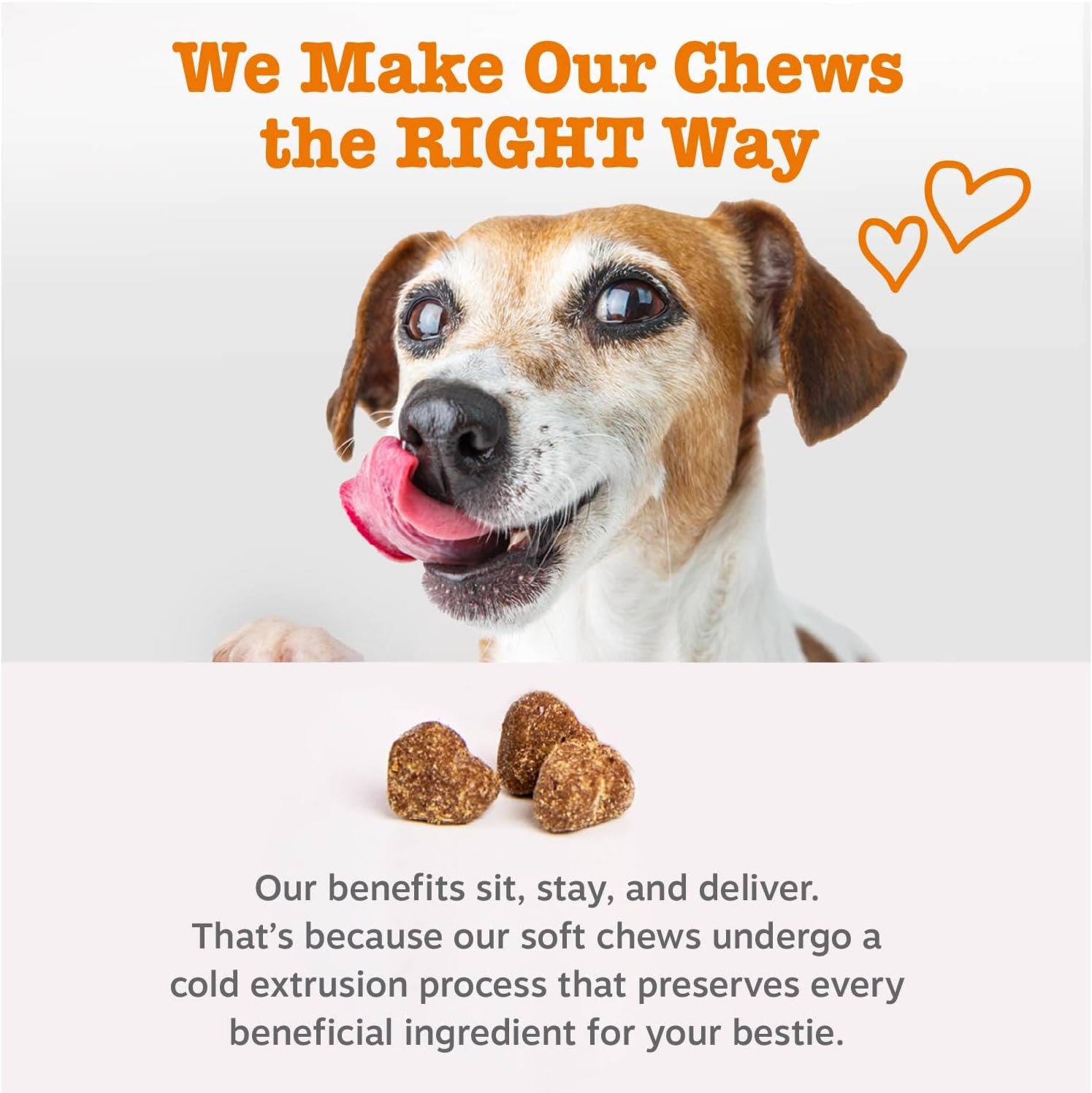 Zesty Paws Dog Multivitamin, Chewable Dog Vitamins and Supplements for Hip &