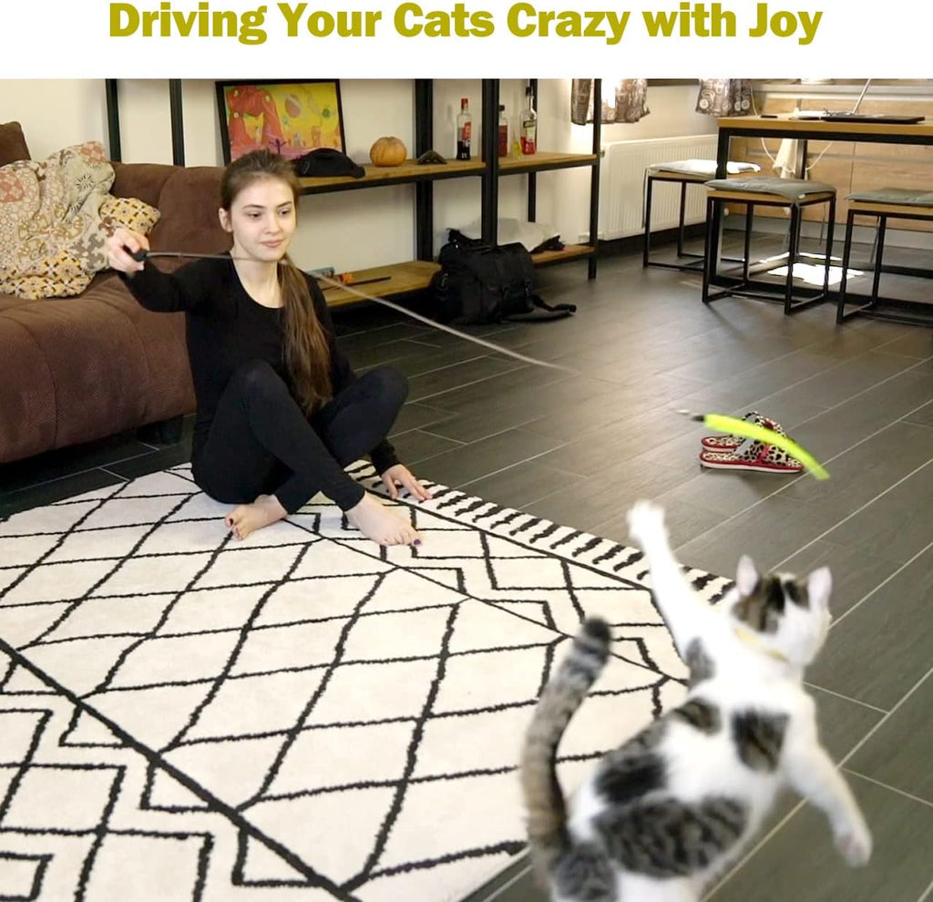 MeoHui Cat Toys for Indoor Cats, Interactive Cat Toy 2PCS Retractable Wand