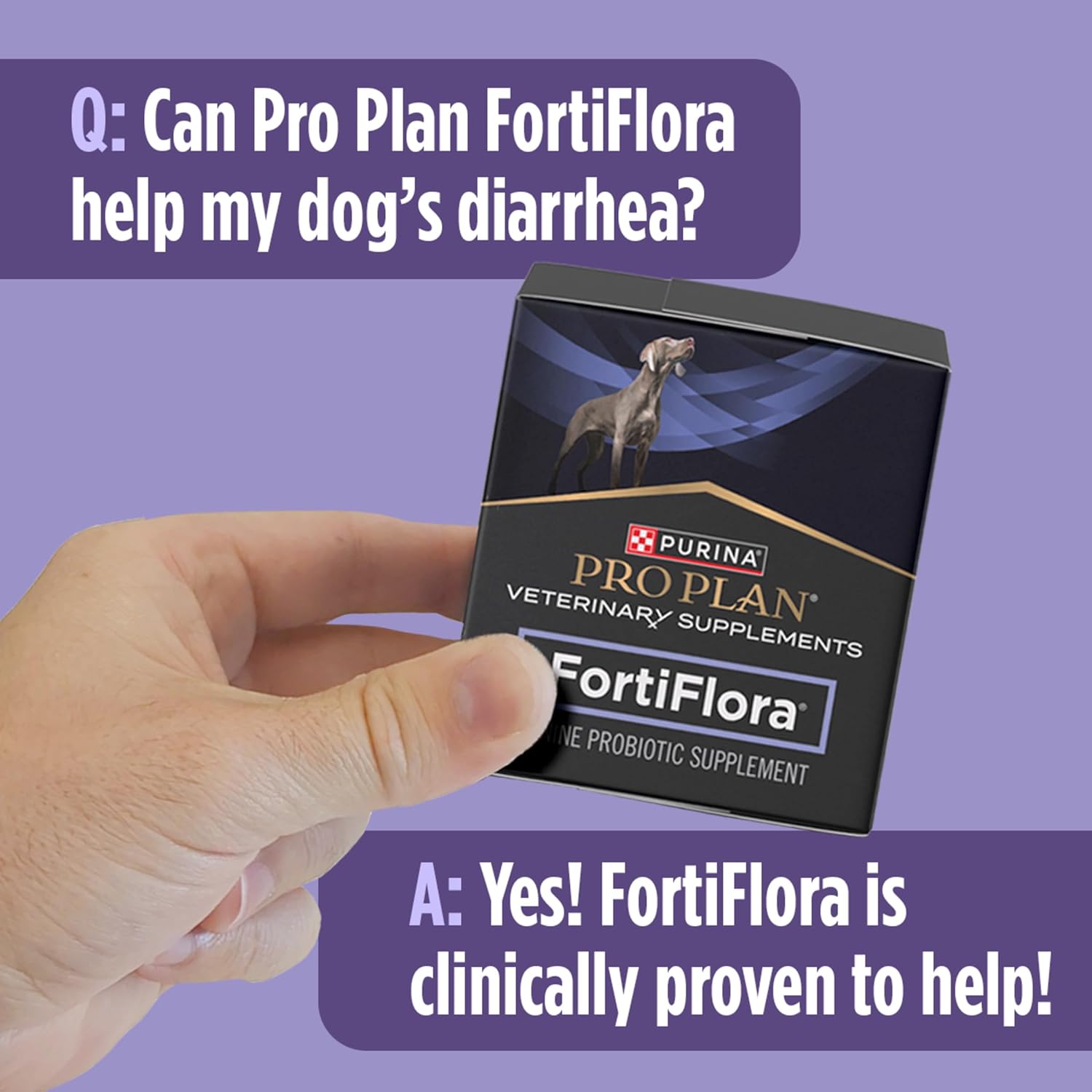 Purina Pro Plan Veterinary Supplements FortiFlora Daily Probiotics for Dogs