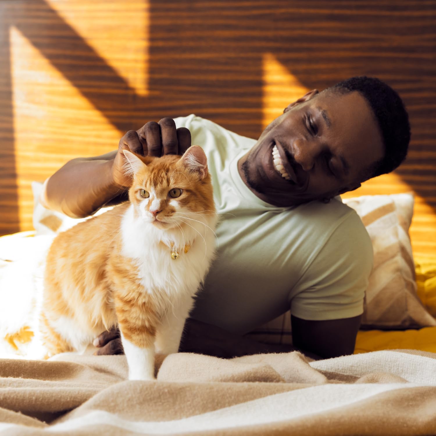 Temptations Cat Treats, Classic Crunchy and Soft Cat Treats, Catnip Fever