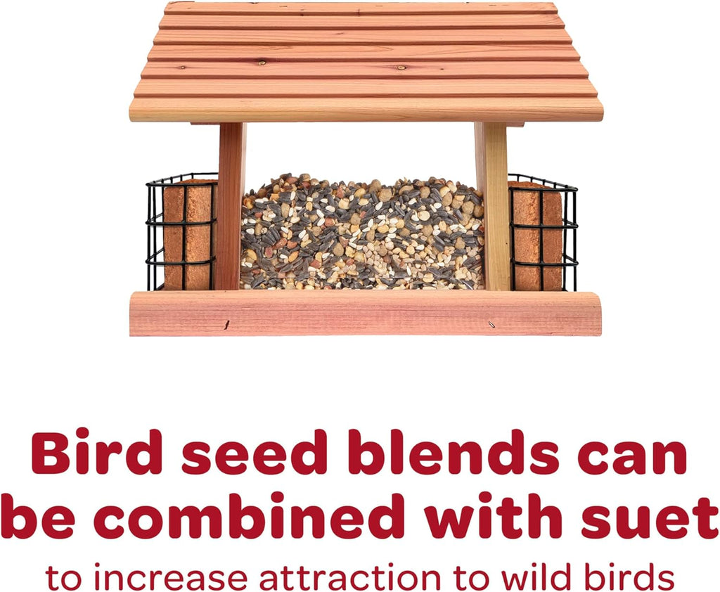 Kaytee All American Wild Bird Food Seed Blend for Cardinals, Blue Jays