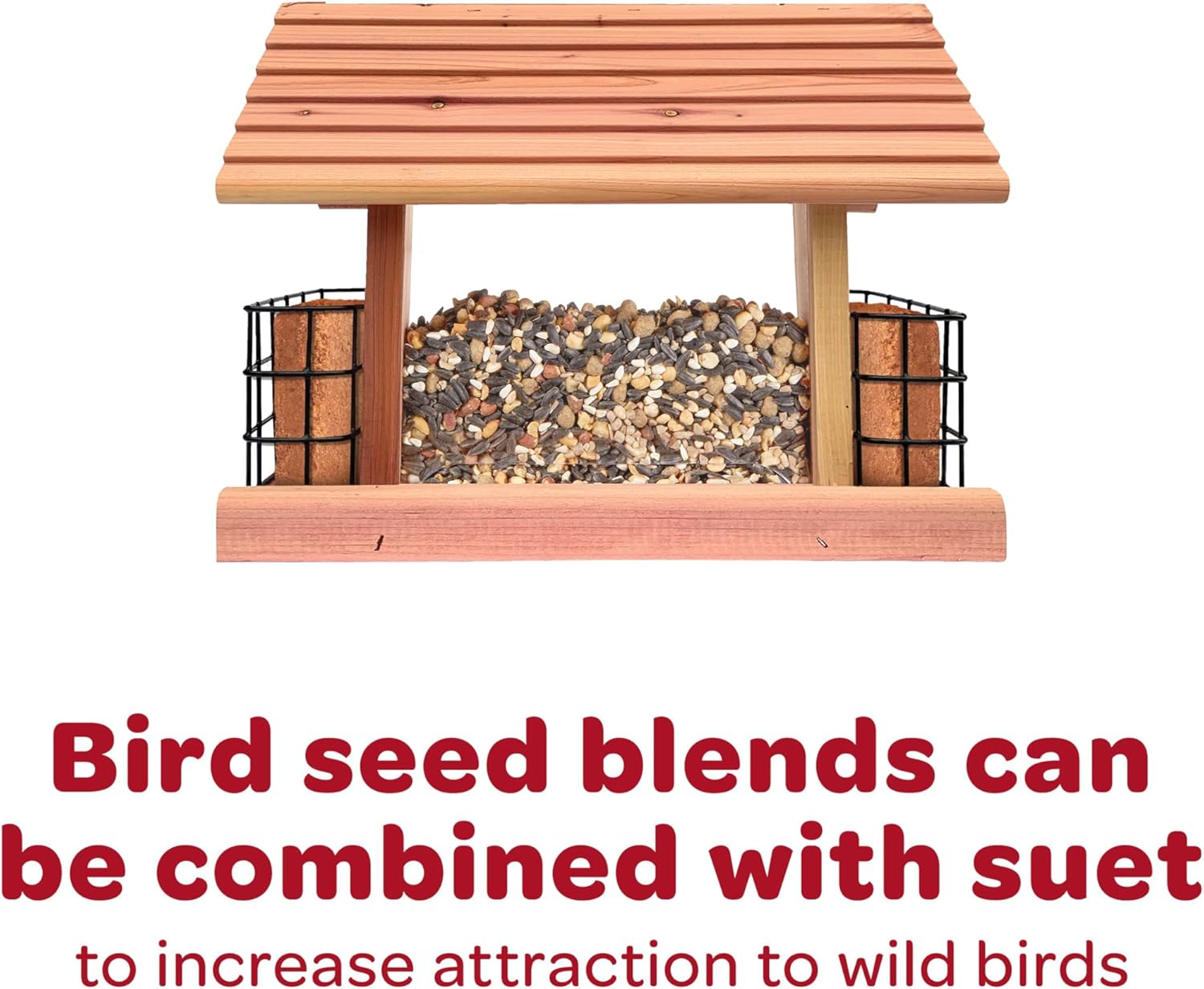 Kaytee All American Wild Bird Food Seed Blend for Cardinals, Blue Jays