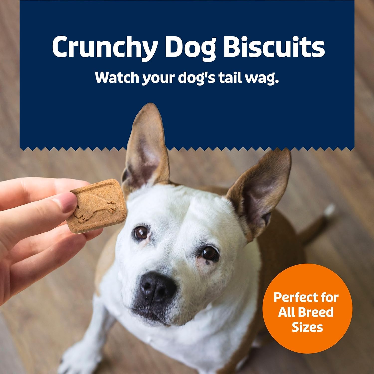 Blue Buffalo Health Bars Crunchy Dog Biscuits, Oven-Baked with Natural