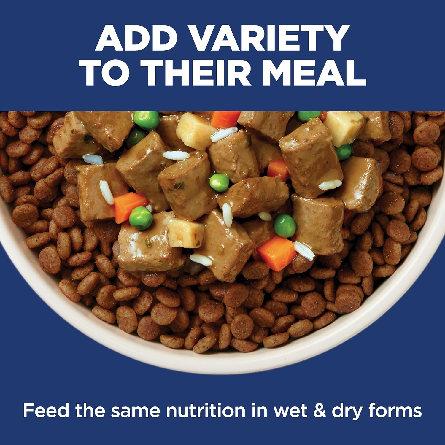Hill's Science Diet Adult Sensitive Stomach & Skin Dry Dog Food, Chicken, 30