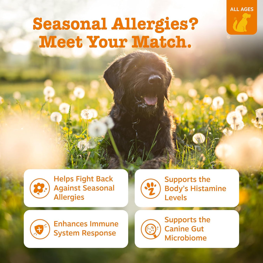 Zesty Paws Allergy Immune Bites - Dog Allergy Chews, Dog Probiotics for Itchy