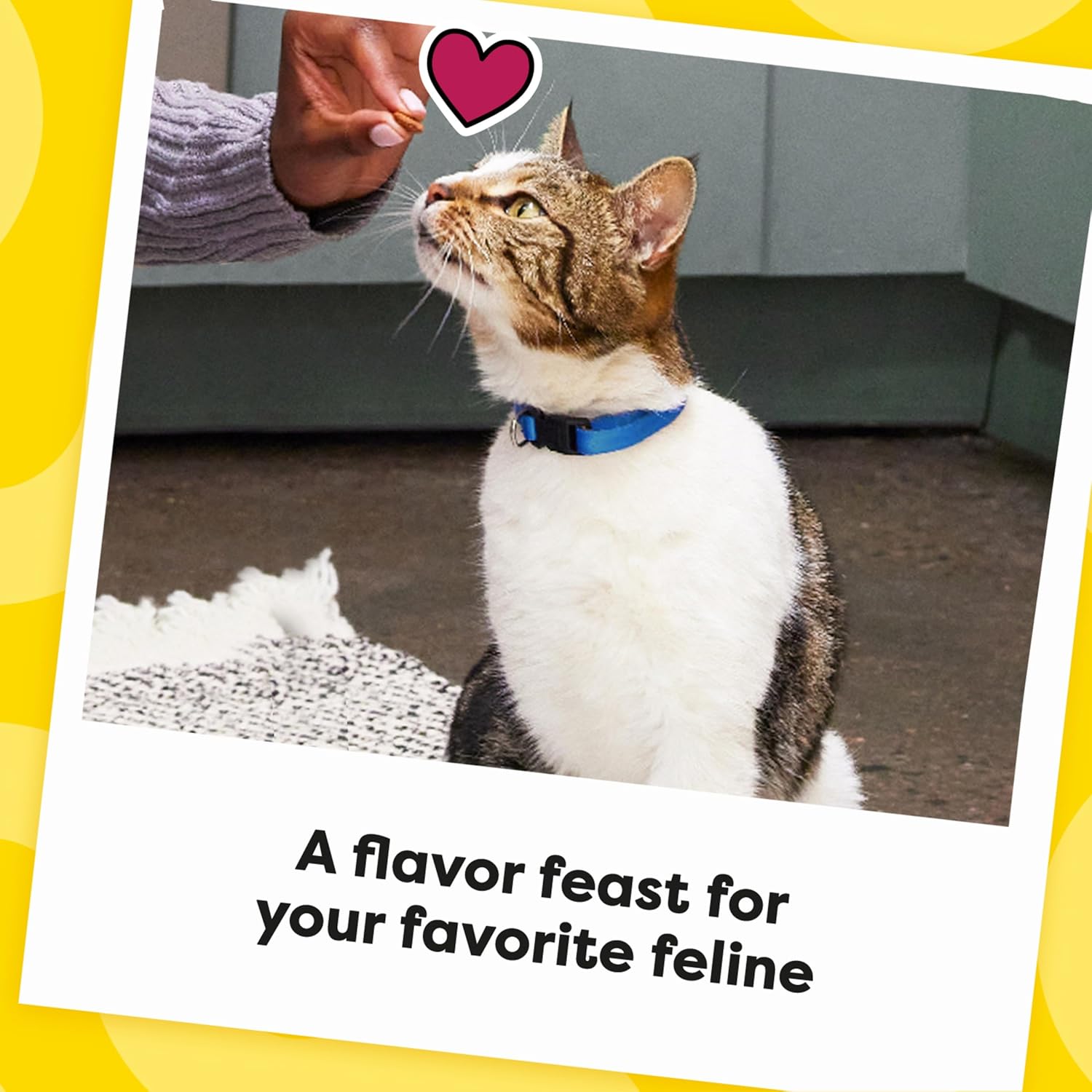 Temptations Cat Treats, Classic Crunchy and Soft Cat Treats, Catnip Fever