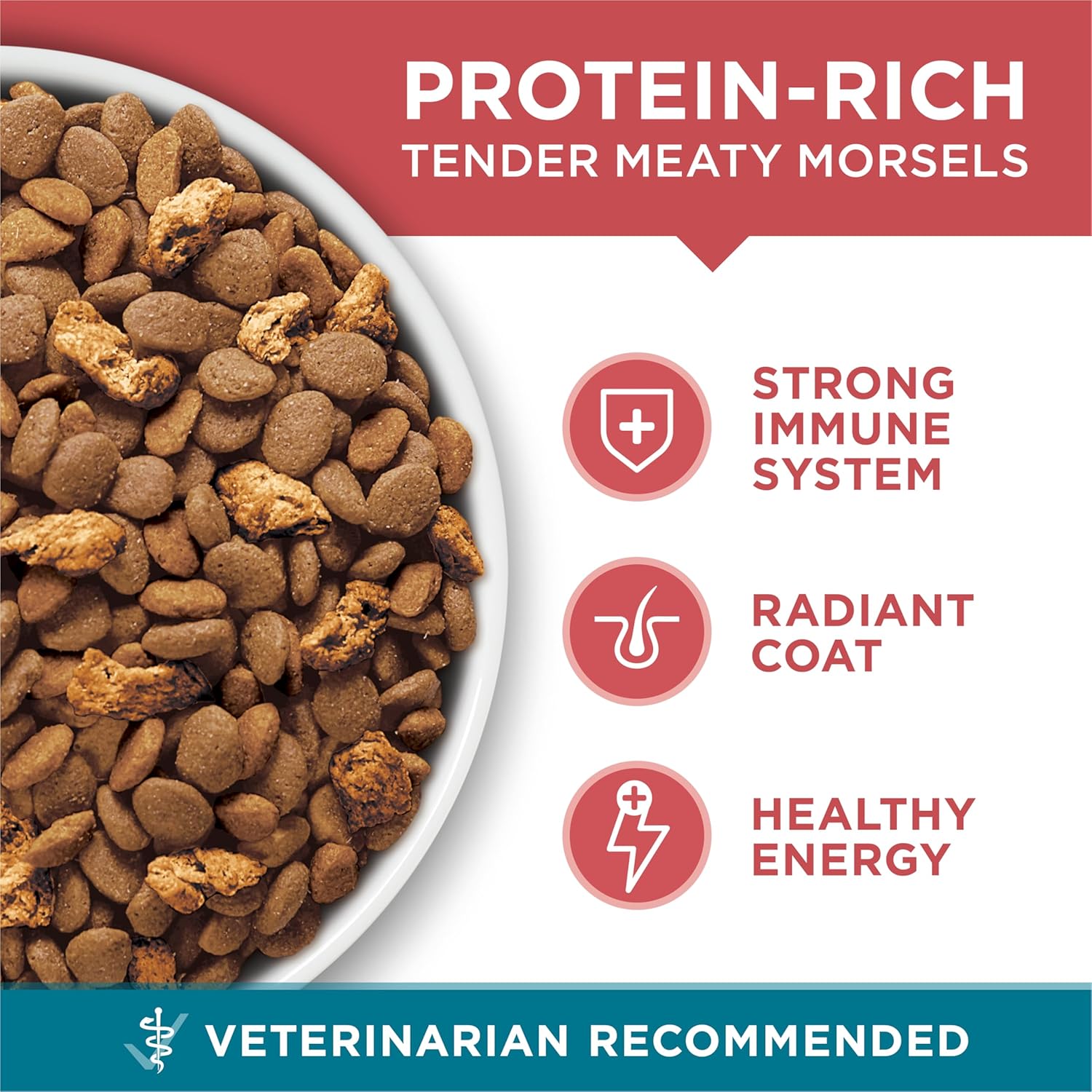 Purina ONE Natural Dry Cat Food, Tender Selects Blend With Real Salmon - 7
