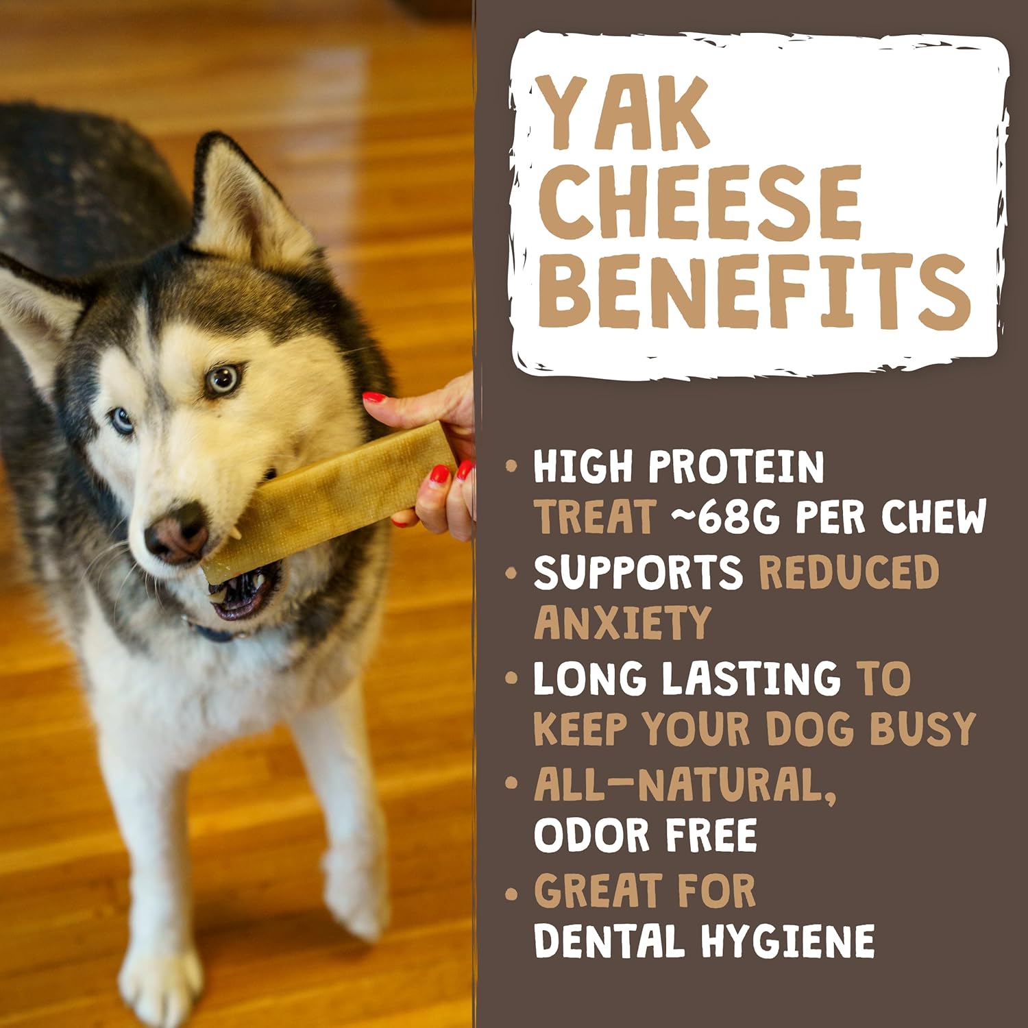 Mighty Paw Yak Cheese Dog Chews ‰ÛÒ All-Natural Long Lasting Hard Chew for