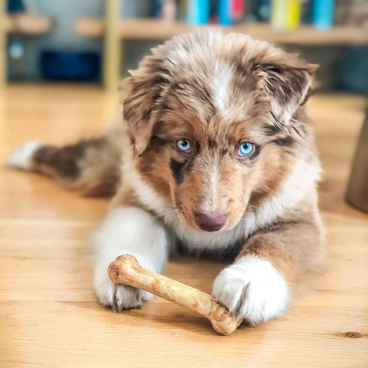 Nylabone Healthy Edibles Natural Puppy Chews Long Lasting Treats for Puppies