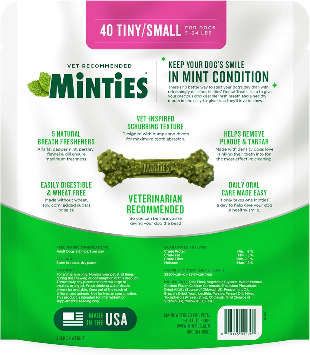 Minties Dog Dental Bone Treats, Tiny/Small Dental Dog Treats, 16 Ounces