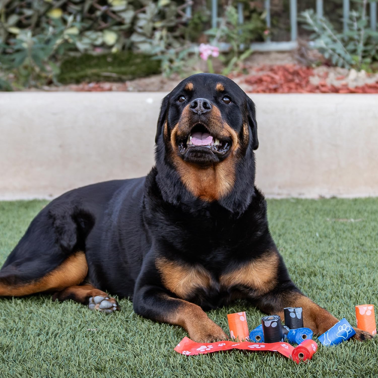 Best Pet Supplies Dog Poop Bags for Waste Refuse Cleanup, Doggy Roll