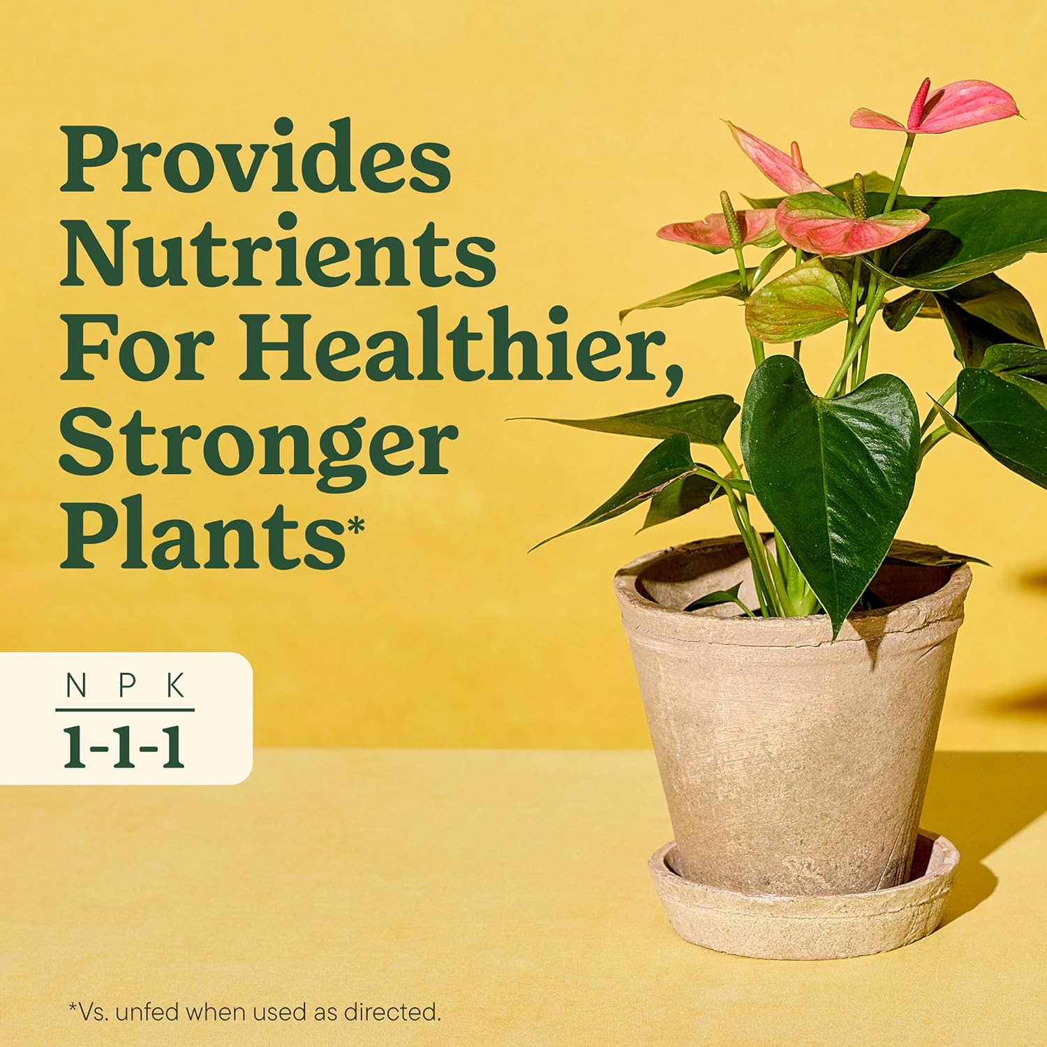 Miracle-Gro Indoor Plant Food for All Plants, Liquid Plant Food for