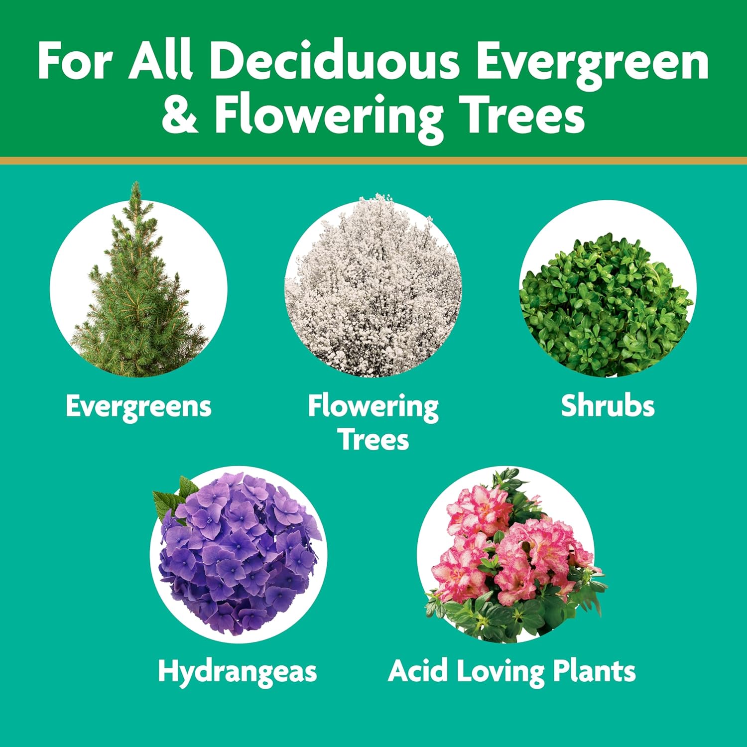 Miracle-Gro Tree and Shrub Plant Food Spikes - Deciduous, Flowering &