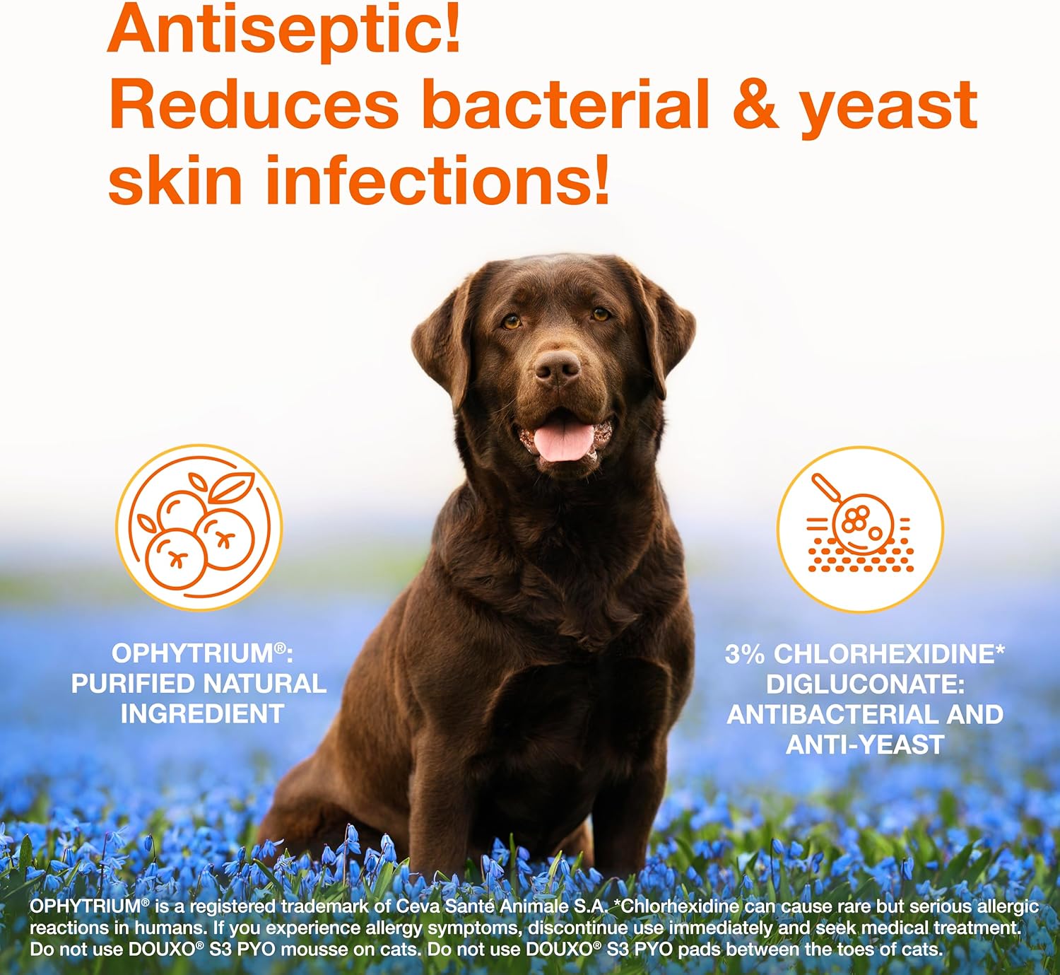 Douxo S3 Pyo Pads, Contains 3% Chlorhexidine & 0.5% Ophytrium, Antiseptic &