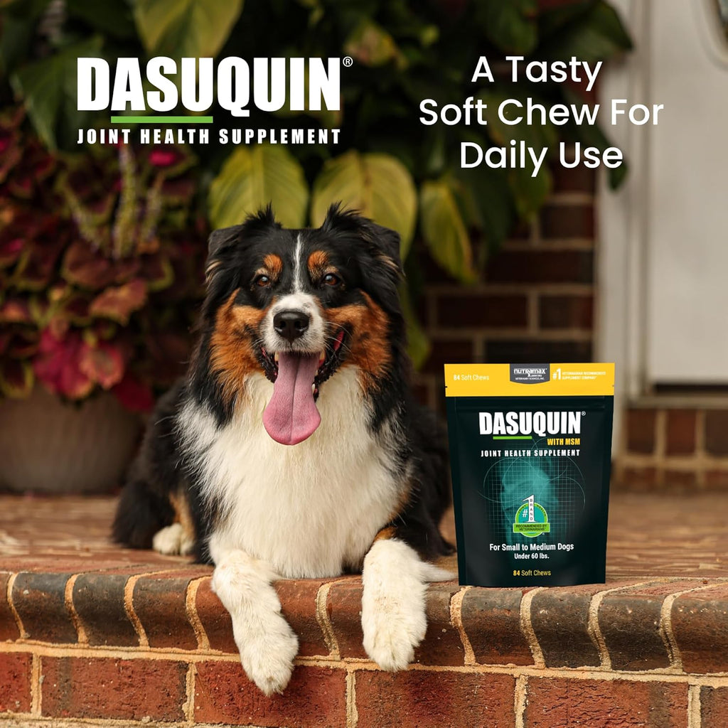 Nutramax Dasuquin for Small to Medium Dogs, Joint Health Supplement, Contains