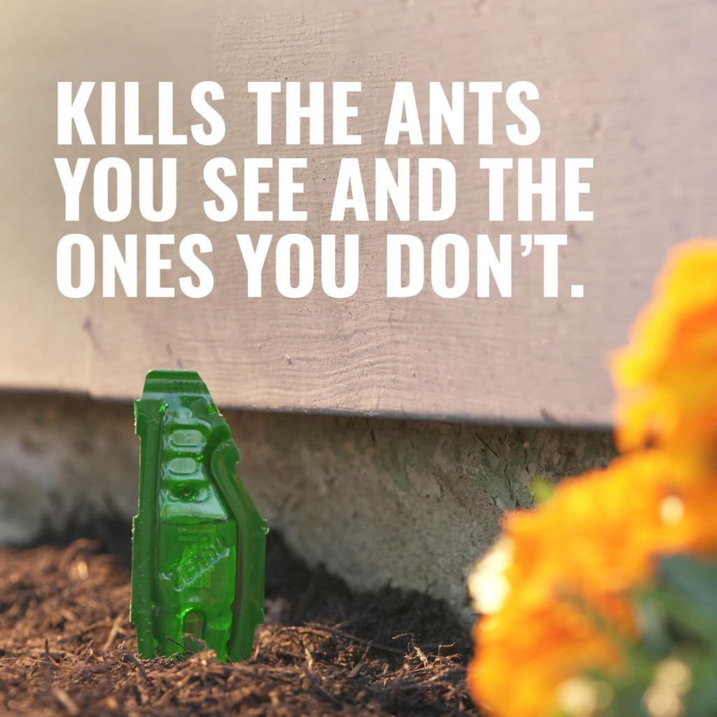 TERRO Liquid Ant Baits - T1813B - Outdoor Ready-to-Use Terro Ant Traps, Kills