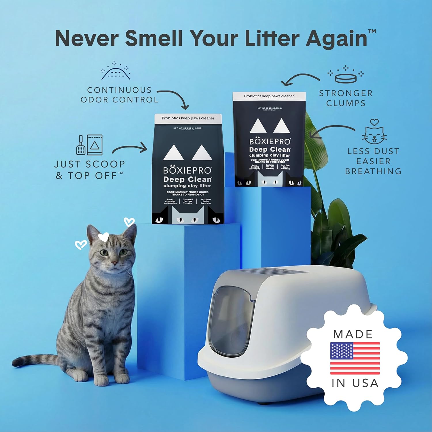 Boxie Probiotic Cat Litter, 40 Day Odor Control, Clumping Clay Kitty Litter