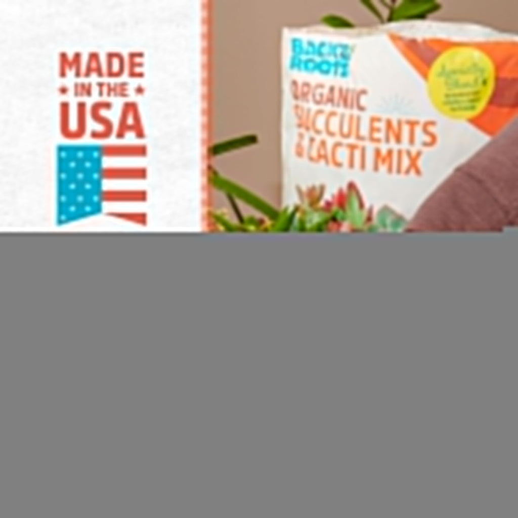 Back to the Roots 100% Organic Succulent & Cacti Mix (6 Quart)