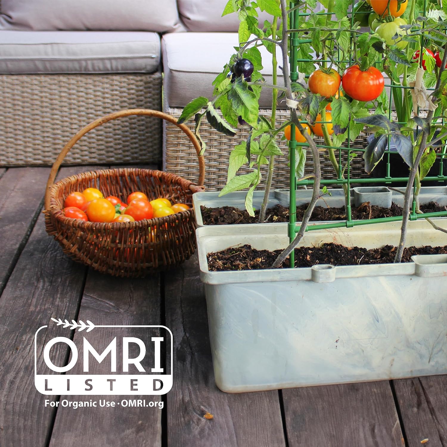Back to The Roots Organic Coir, 51 Quart Expanding Soil, Great for Seeds and