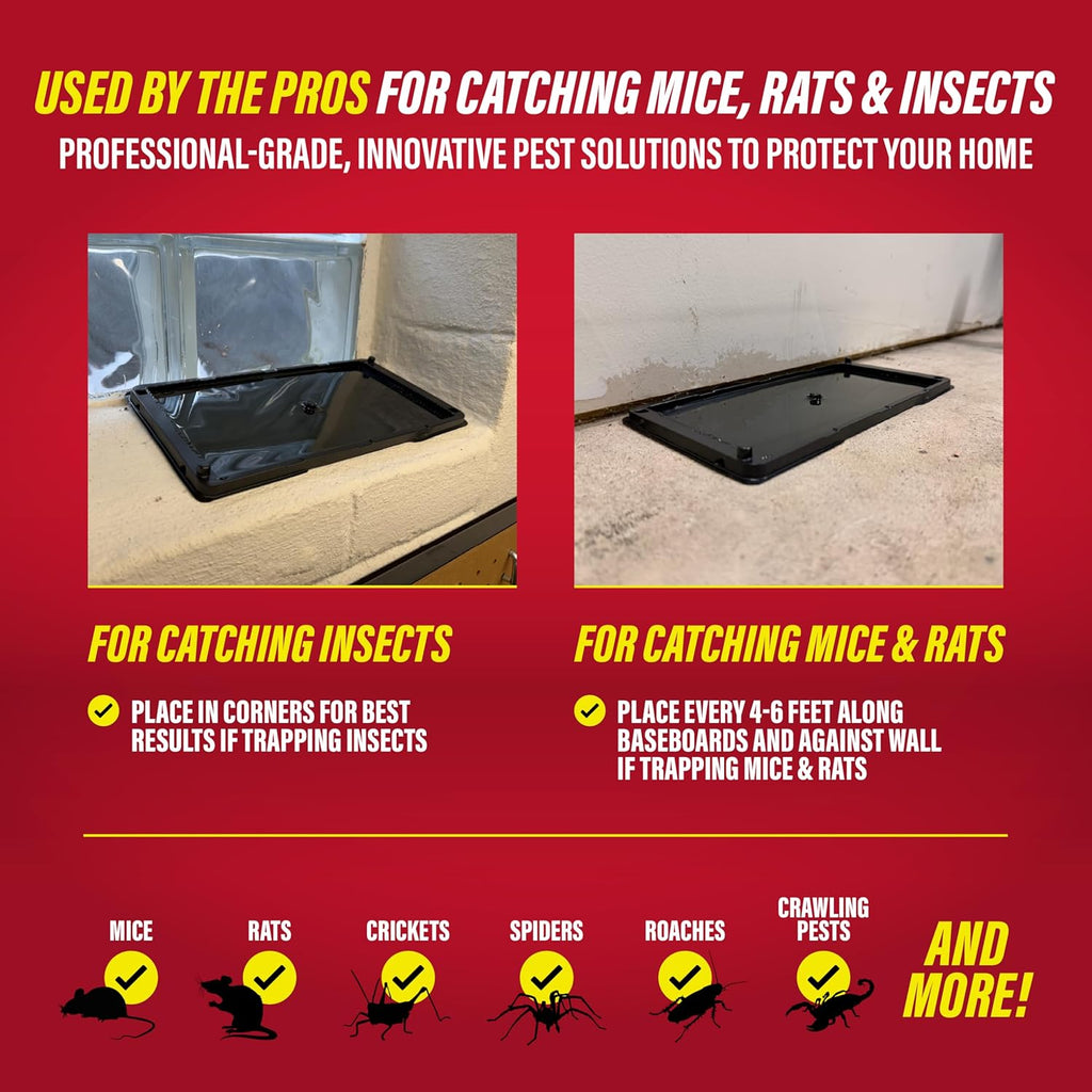 Catchmaster Rat, Snake and Mouse Traps 10Pk, Large Bulk Glue Rat Traps for