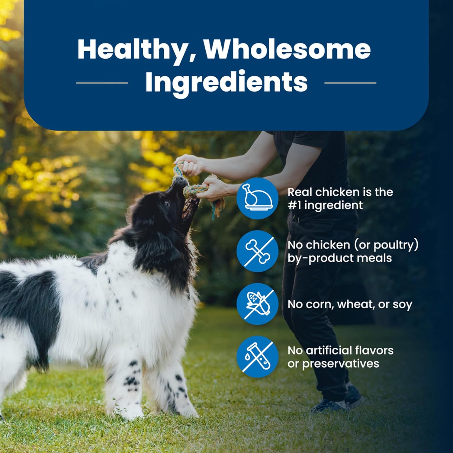 Blue Buffalo Life Protection Formula Adult Dry Dog Food, Helps Build and