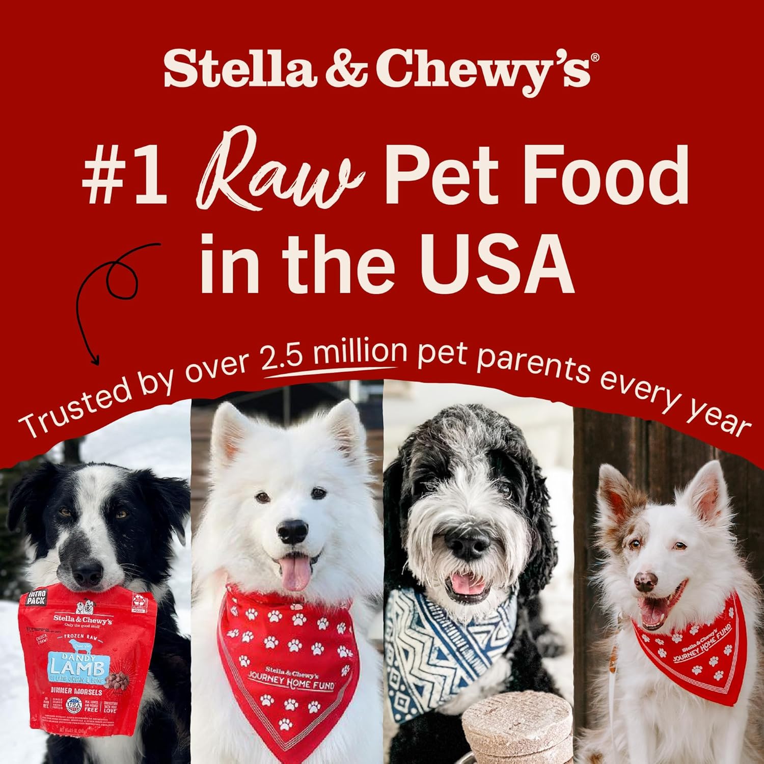 Stella & Chewy's Freeze-Dried Raw Dinner Patties - Beef Recipe - High Protein