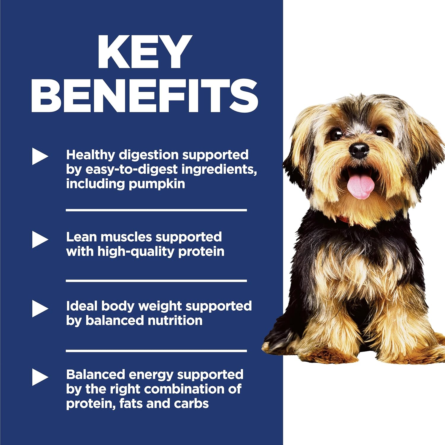 Hill's Science Diet Adult 1-6 Small & Mini Dry Dog Food, Chicken & Brown