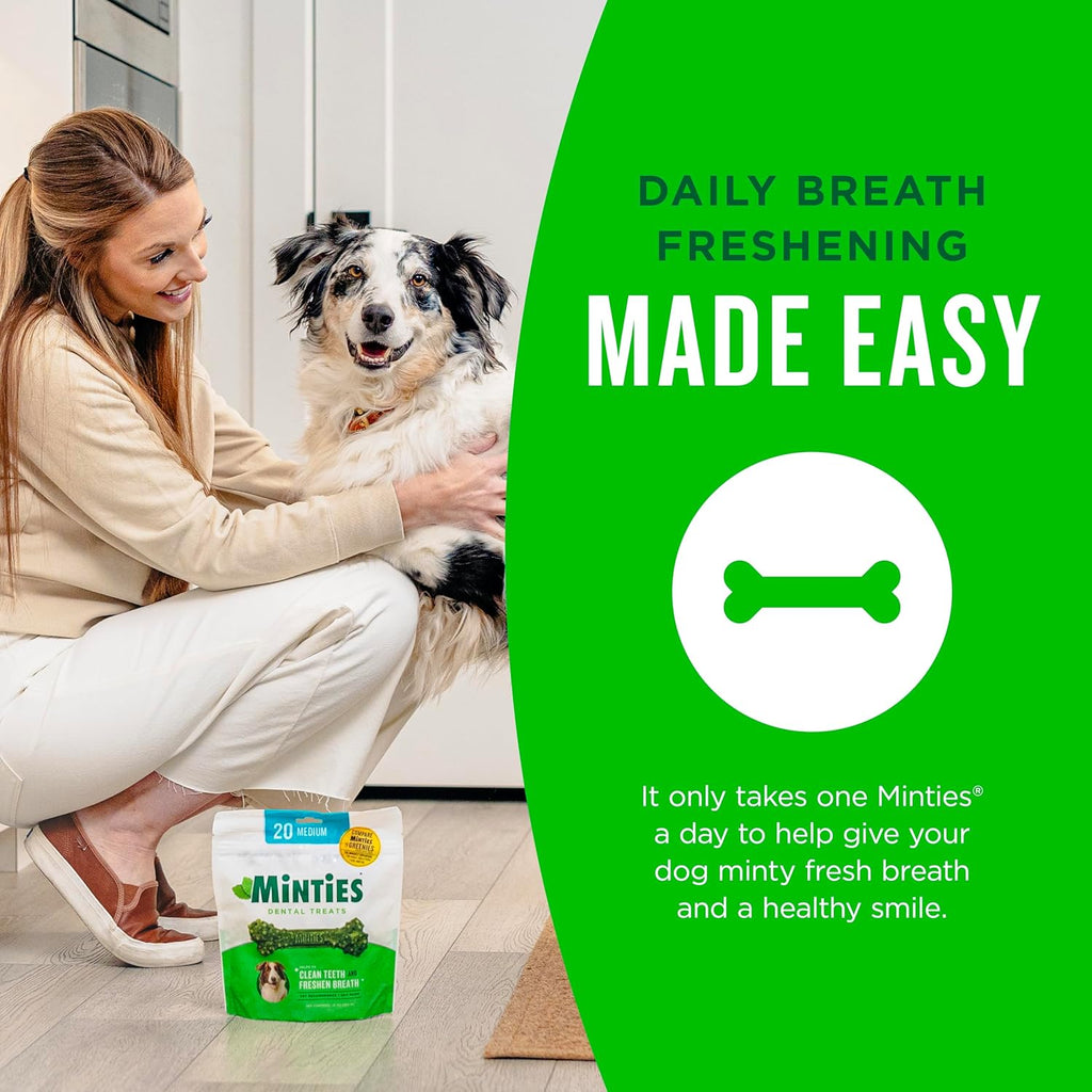 Minties Dog Dental Bone Treats, Tiny/Small Dental Dog Treats, 16 Ounces