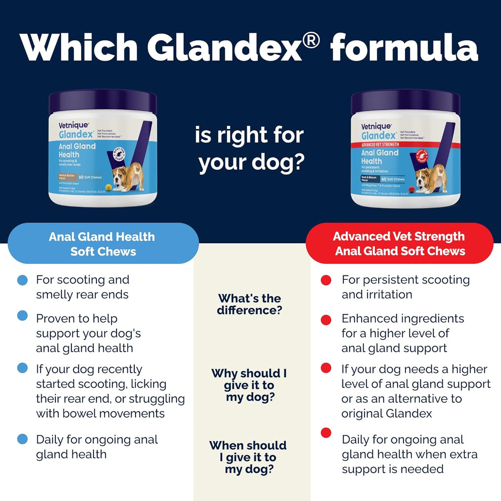 Vetnique Glandex Anal Gland Soft Chew Treats with Pumpkin for Dogs Digestive