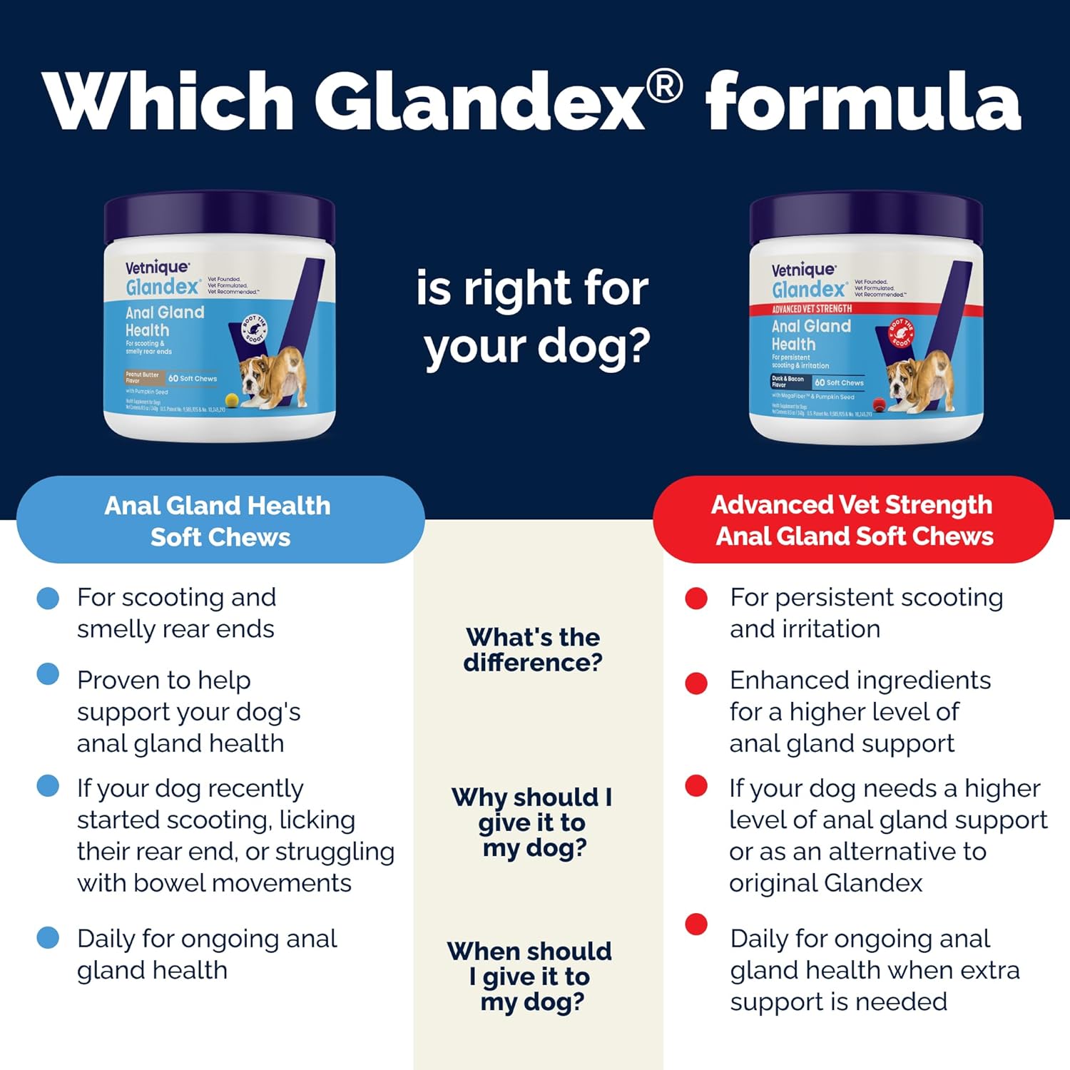 Vetnique Glandex Anal Gland Soft Chew Treats with Pumpkin for Dogs Digestive