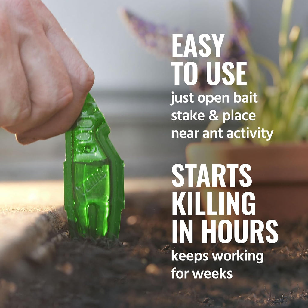 TERRO Liquid Ant Baits - T1813B - Outdoor Ready-to-Use Terro Ant Traps, Kills