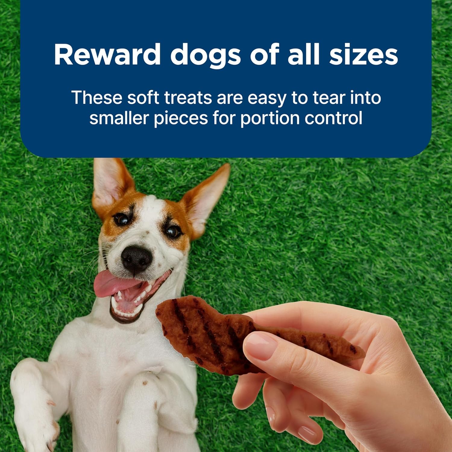 Blue Buffalo Nudges Grillers Natural Dog Treats, Made in the USA with Real