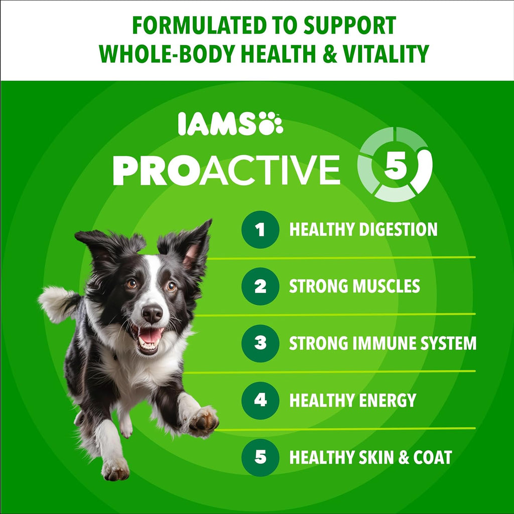 IAMS Proactive Health Adult Minichunks Premium Dry Dog Food, Adult Dog Food